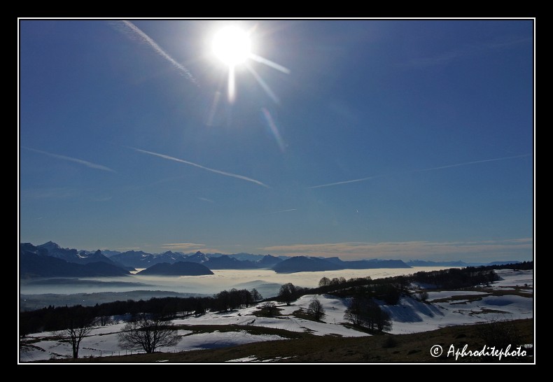 Winter Walk On Mountain Salève